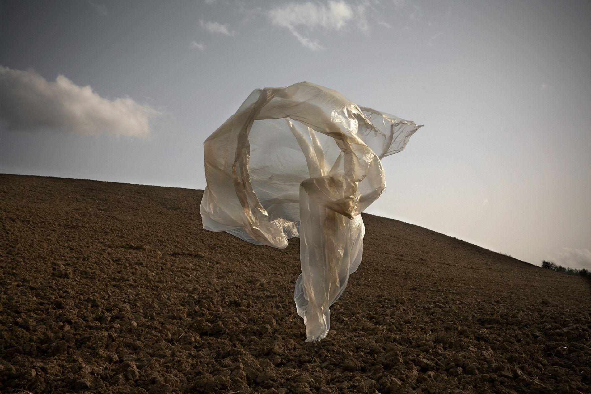 plastica animistica photoscultura land 10