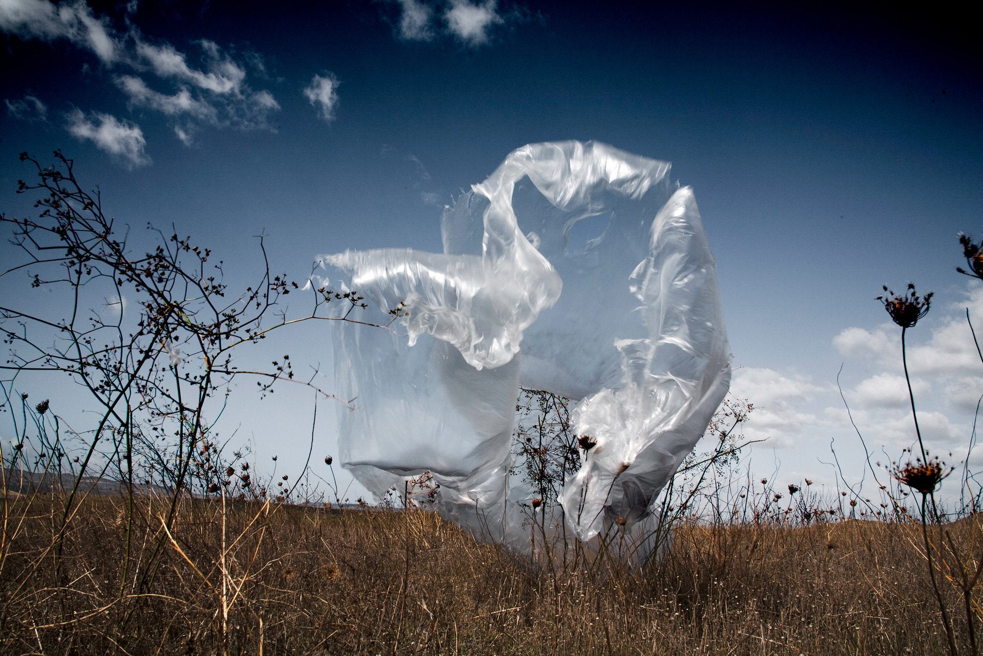 plastica animistica photoscultura land 1
