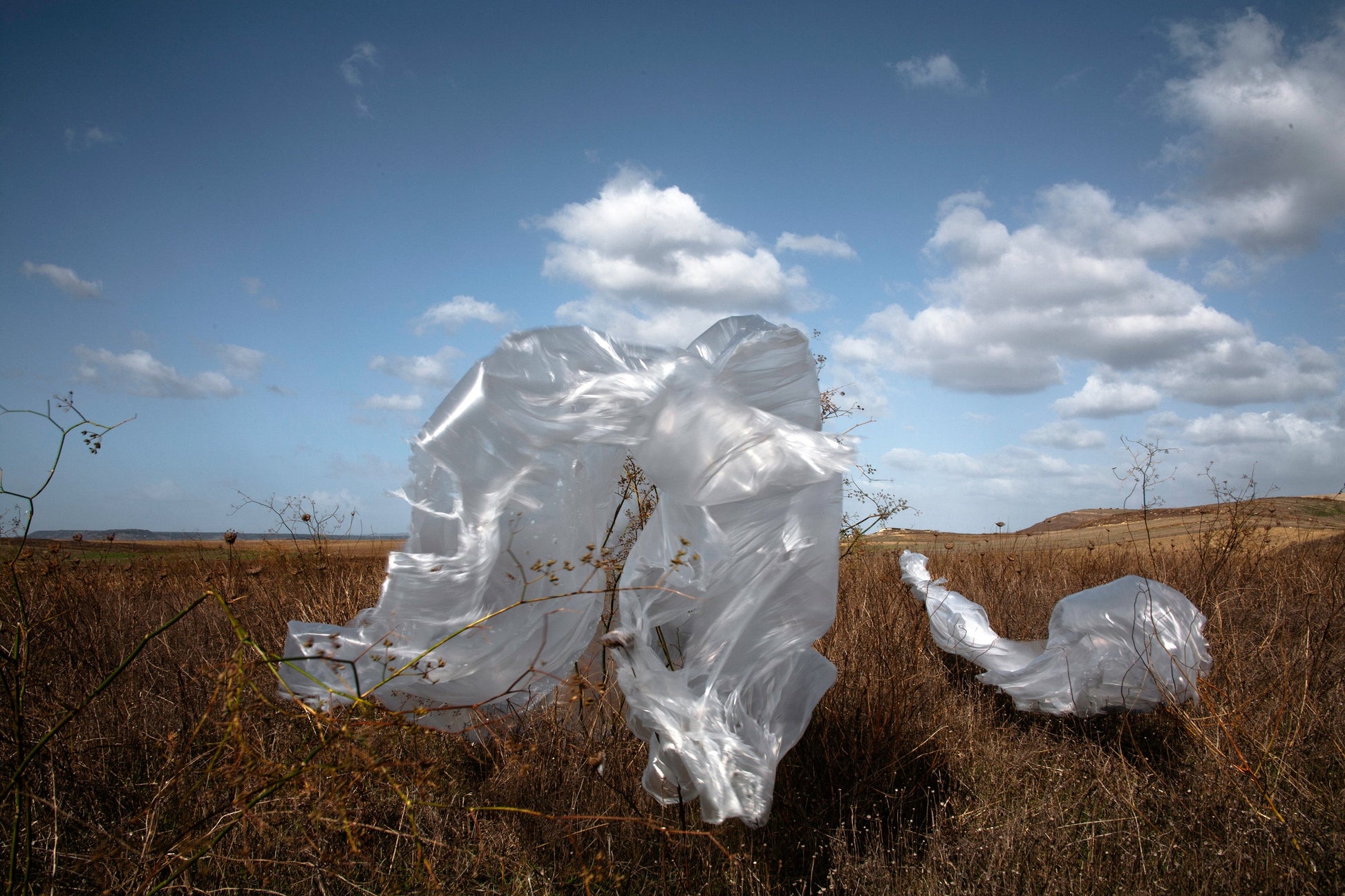 plastica animistica photoscultura land 2