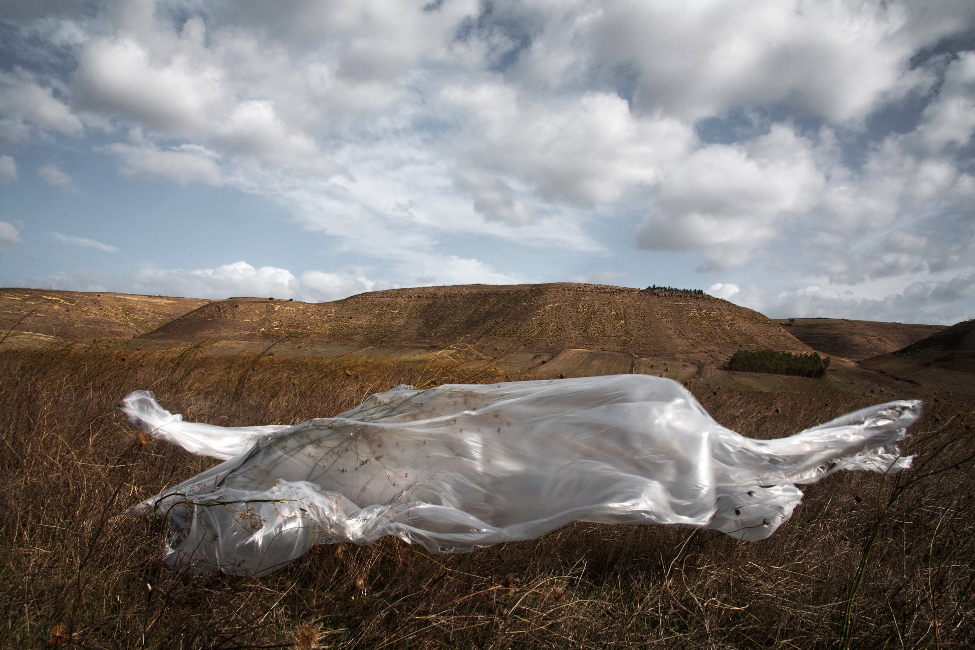 plastica animistica photoscultura land 9