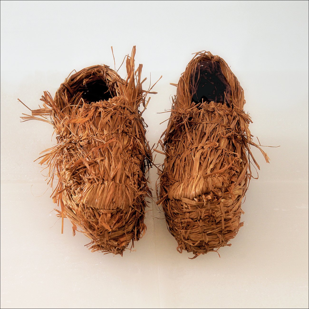 VINCENT VAN GOGH SHOES